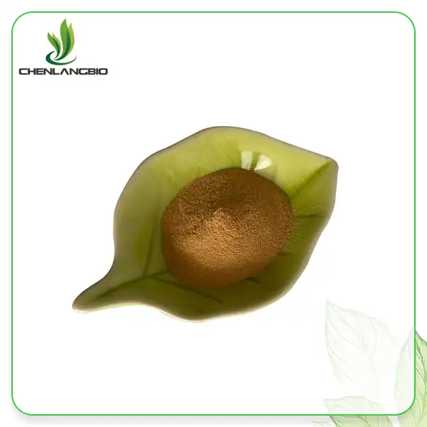Ginkgo Biloba Folium Extract Ginkgo Biloba Folium Extract